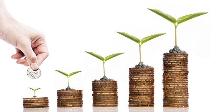 Articles 23 Comment financer sa Tiny-House et emprunter uniquement le nécessaire ?